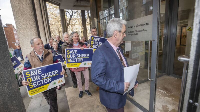 Sheep farmers call for support as sector is 'at risk'