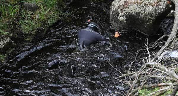 Members of the Garda water unit searches the River Vartry in the Wicklow Mountains.