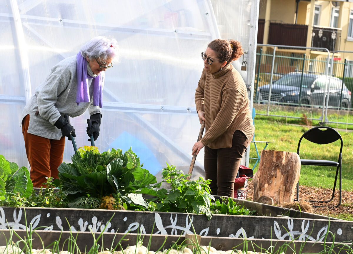 Regular gardener Paula Long and Spanish visitor Pilar Garcia working together at the community garden at Clashduv Road, Togher. Picture: Larry Cummins