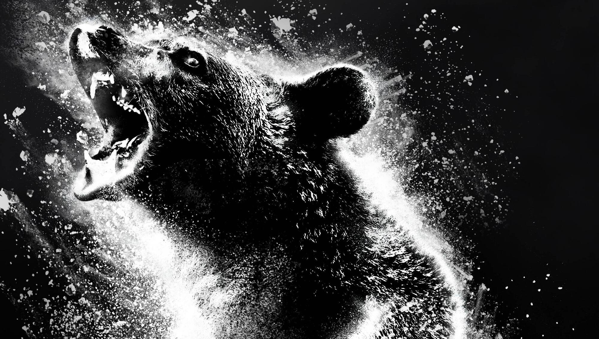 Film review: Wicklow-filmed Cocaine Bear embodies the ridiculous - and the sublime