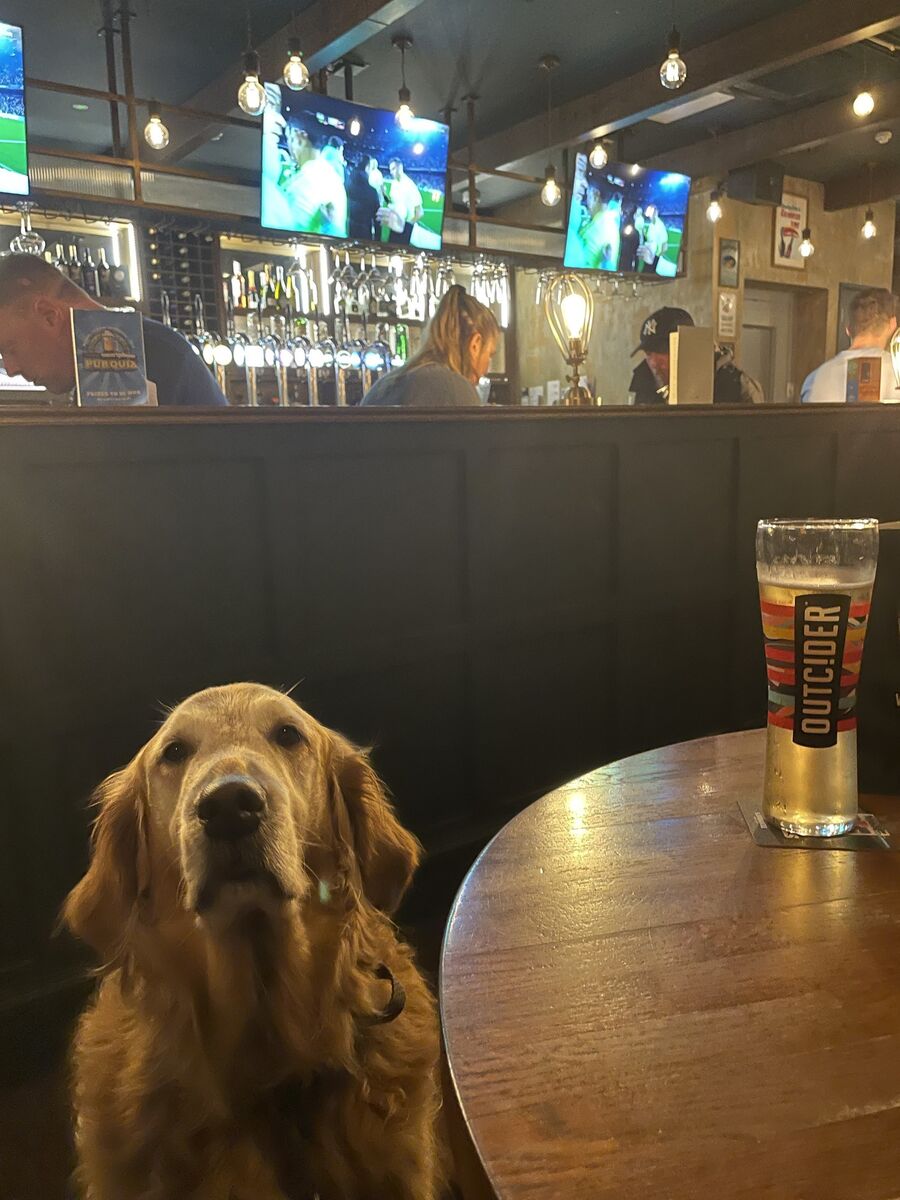 Vipp at the Crowes Nest pub Vipp at the Crowes Nest pub