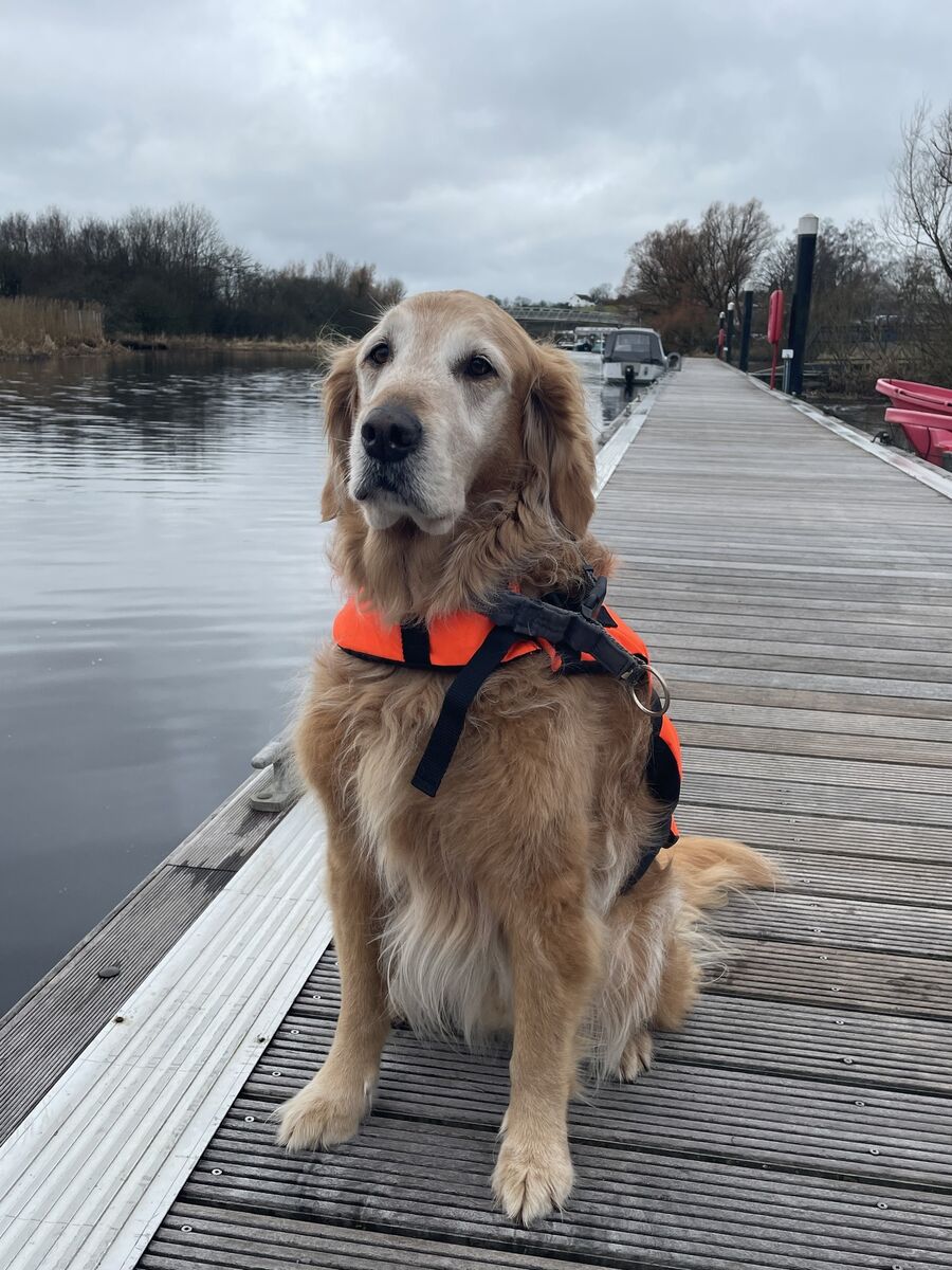 Vipp - ready for the boat Vipp - ready for the boat