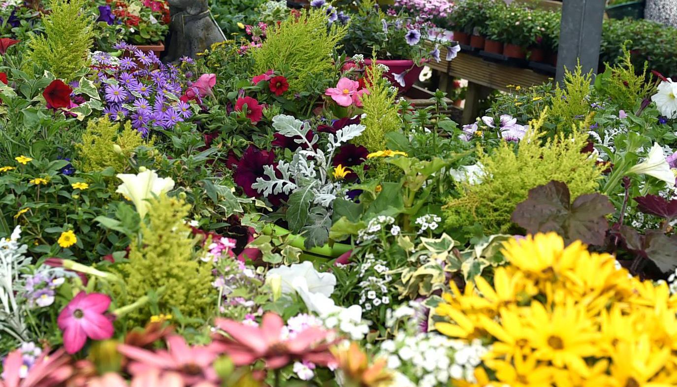 Garden Digest: Events to help you to enjoy your room outside
