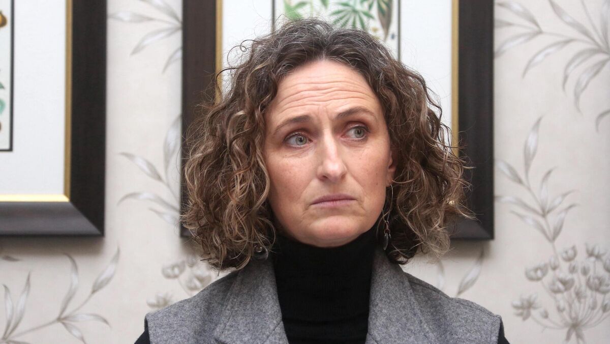 Sinn Féin Senator Lynn Boylan said 'the department needs to outline what repercussions there were for those responsible'. Picture: Gareth Chaney/Collins Photos