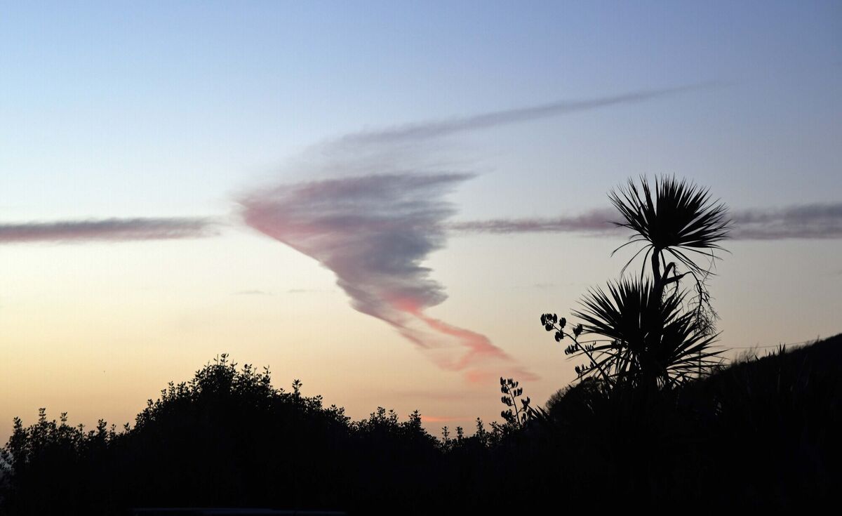 Picture: Denis Minihane.