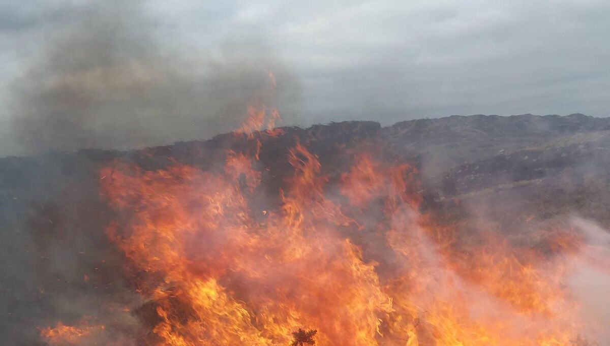 As sure as night follows day, the week before gorse burning is banned, there is fire-led carnage throughout the land as landowners, farmers, and custodians of strips of land burn off excess vegetation because there are few other options and there is little reason for them to change practice. Picture: Cork County Council