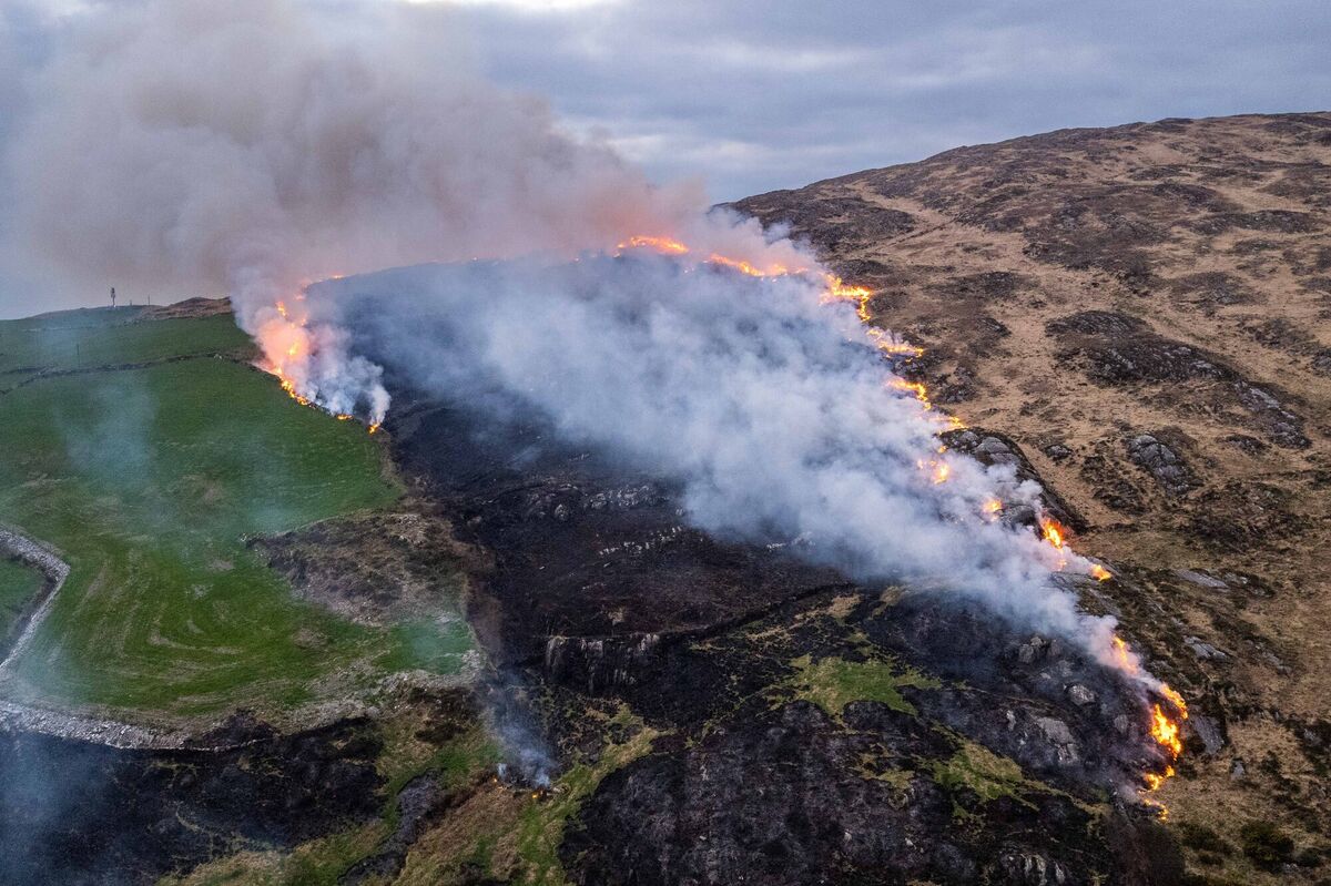 A huge gorse fire burns out of control on a mountain above Goleen in West Cork. Picture: Andy Gibson