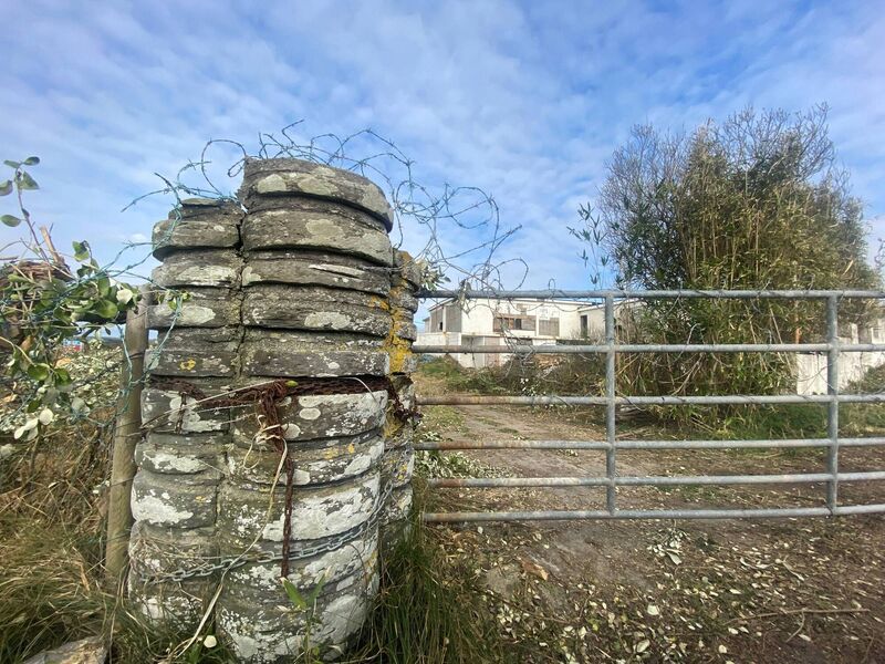 Freke out. Castlefreke Hotel Freke out. Castlefreke Hotel