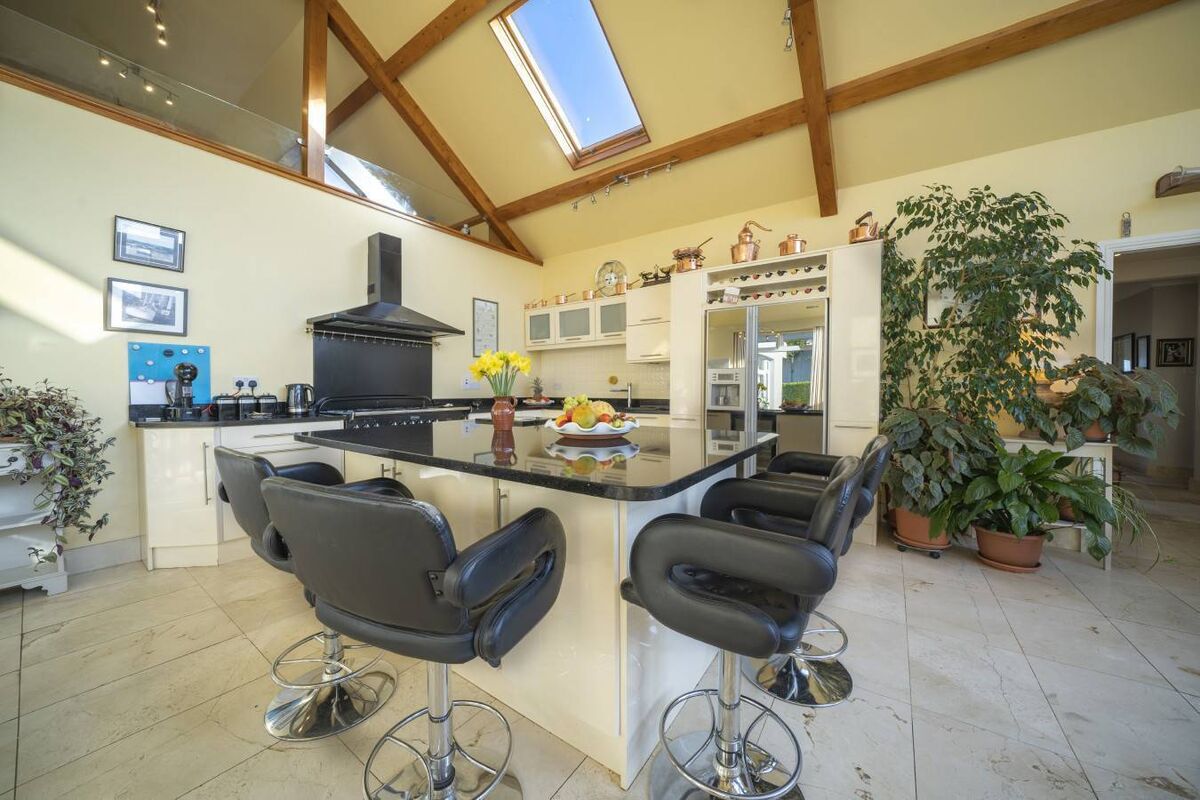 Light and airy: plants love it and thrive