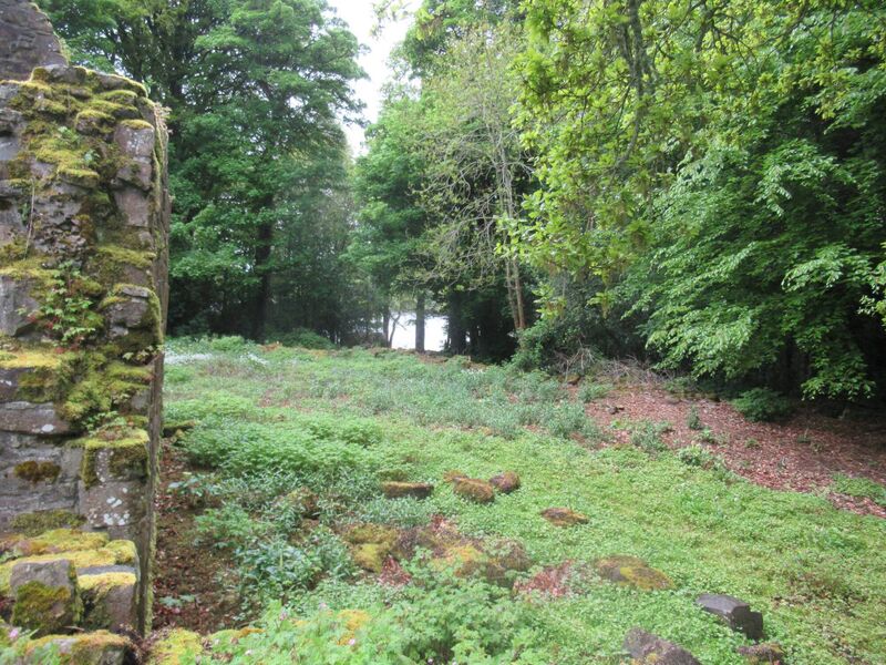  Part of the Inchmacnerin Abbey complex on Church Island, Lough Key, County Roscommon. Picture: Dan MacCarthy 