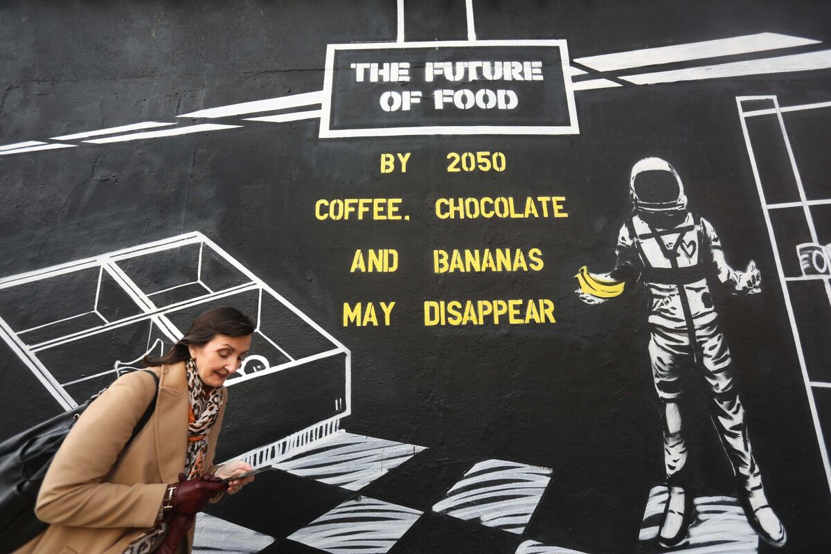  A Fairtrade mural on Busy Feet &amp; Coco Café on William Street, Dublin. Picture: Leah Farrell / RollingNews.ie