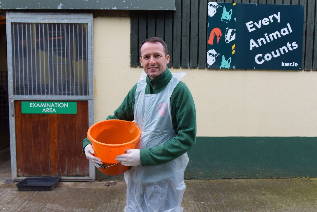  Dan Donoher: 'I know a lot of people keep their cats in but particularly at dawn and dusk, they are the best times because it is when birds are feeding, or the parents are out looking for food. They can get killed by a cat and that means the babies are left to die.' Picture: Moya Nolan