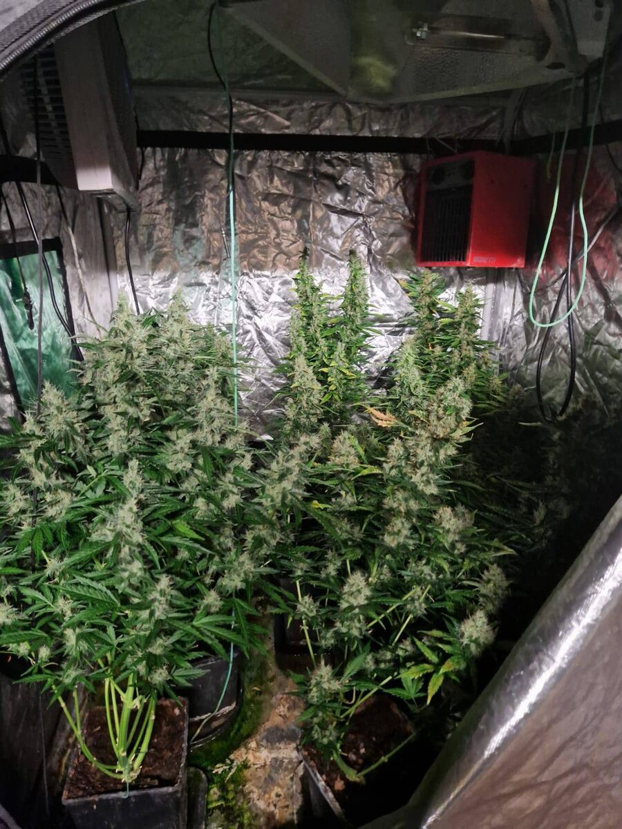 Gardaí in Drogheda have seized in excess of €116,000 worth of drugs and arrested one man as part of a search operation in Louth today Saturday 4th March, 2023. Gardaí in Drogheda have seized in excess of €116,000 worth of drugs and arrested one man as part of a search operation in Louth today Saturday 4th March, 2023.