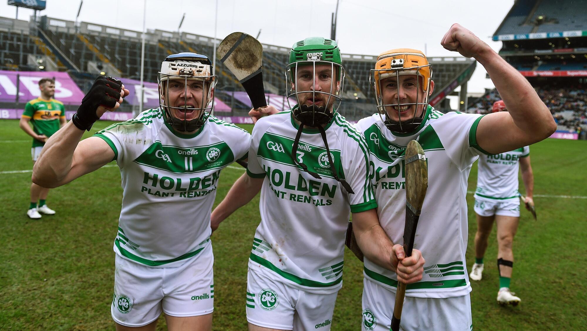 Eight Ballyhale stars named on club team of the year 