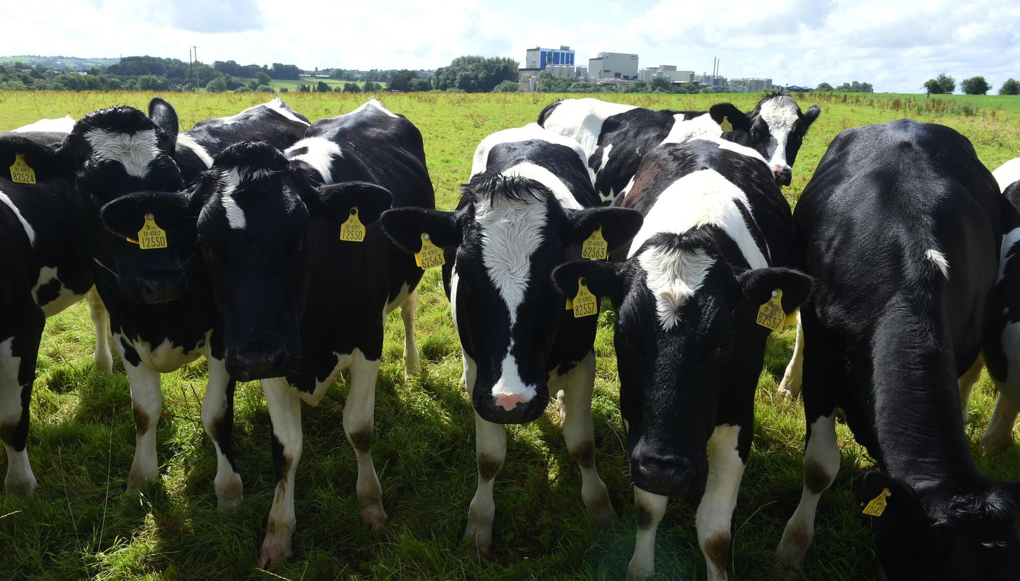 Food production emissions would push world past 1.5C - report