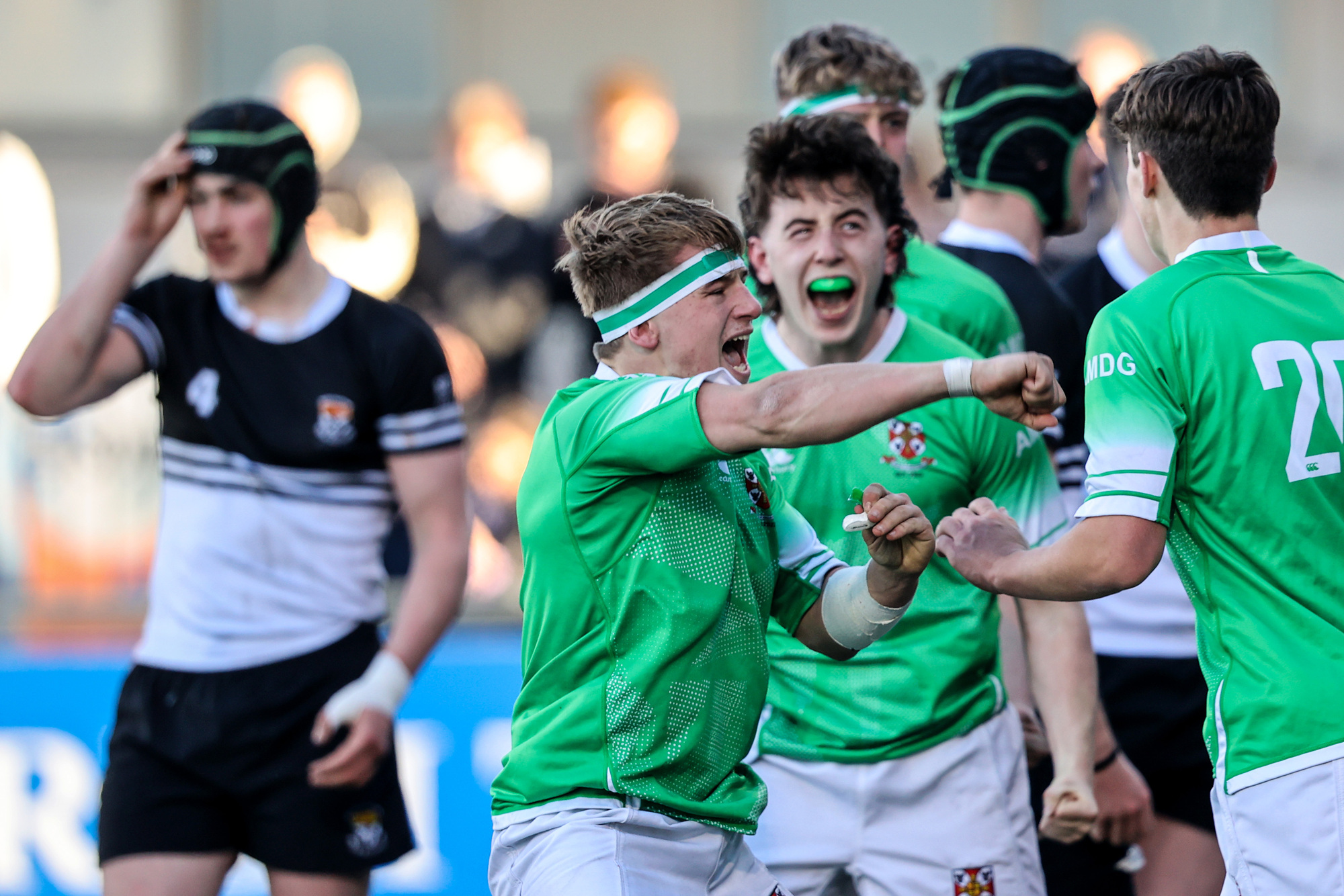 Leinster Senior Cup: Gonzaga hold on despite Newbridge fightback 