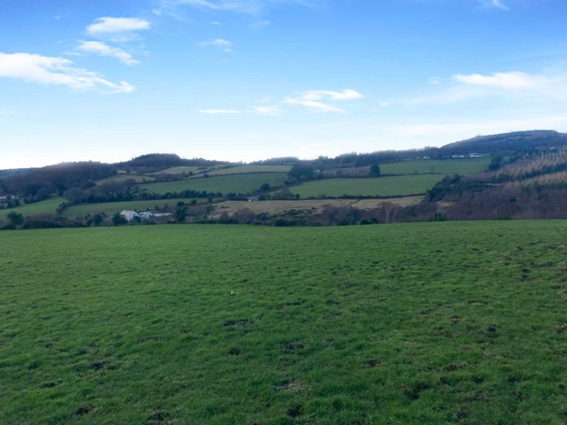 Auction of 37-acre farm near Avoca achieves over €19k/acre