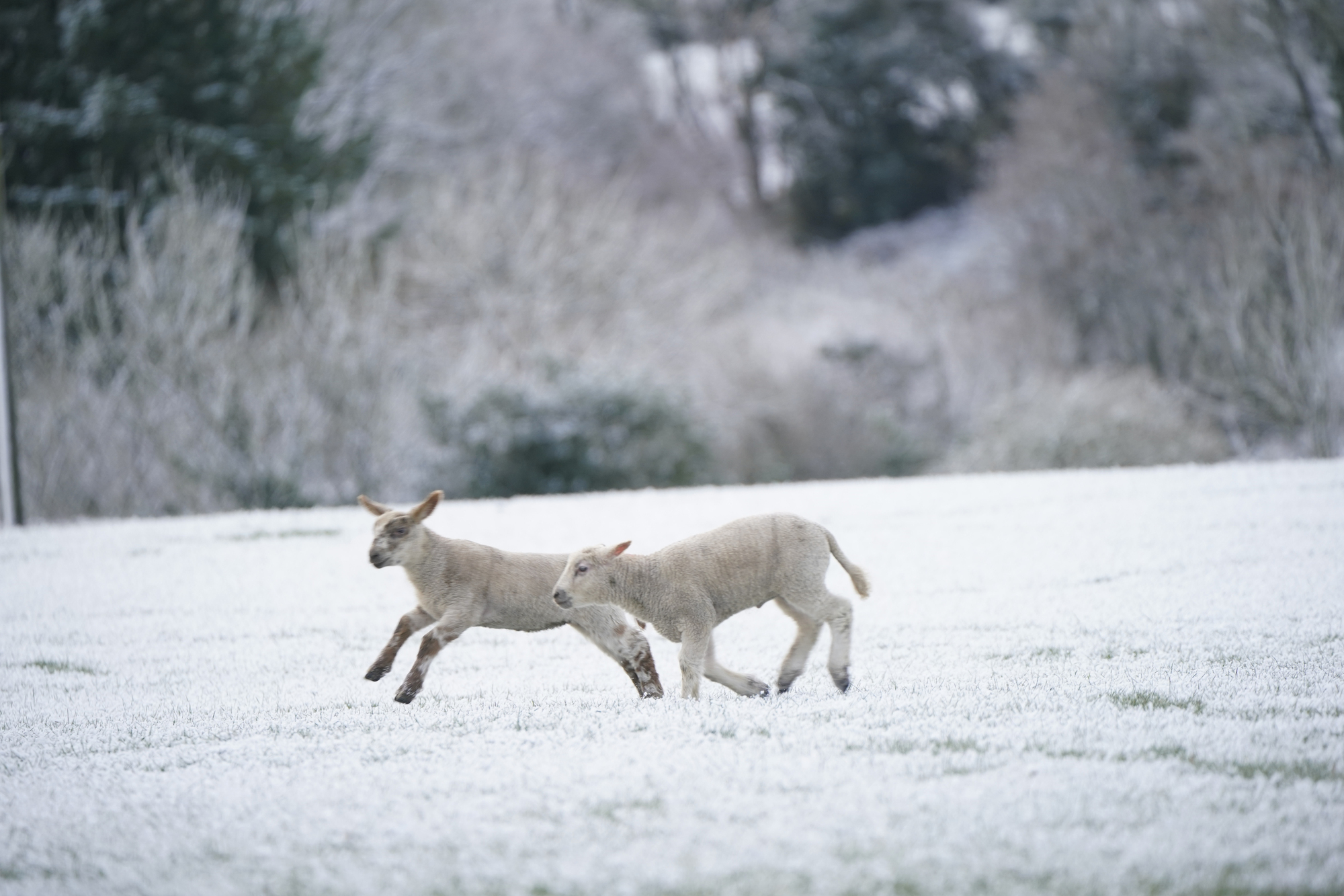 Met Éireann issues countrywide warnings as snow falls in Cork