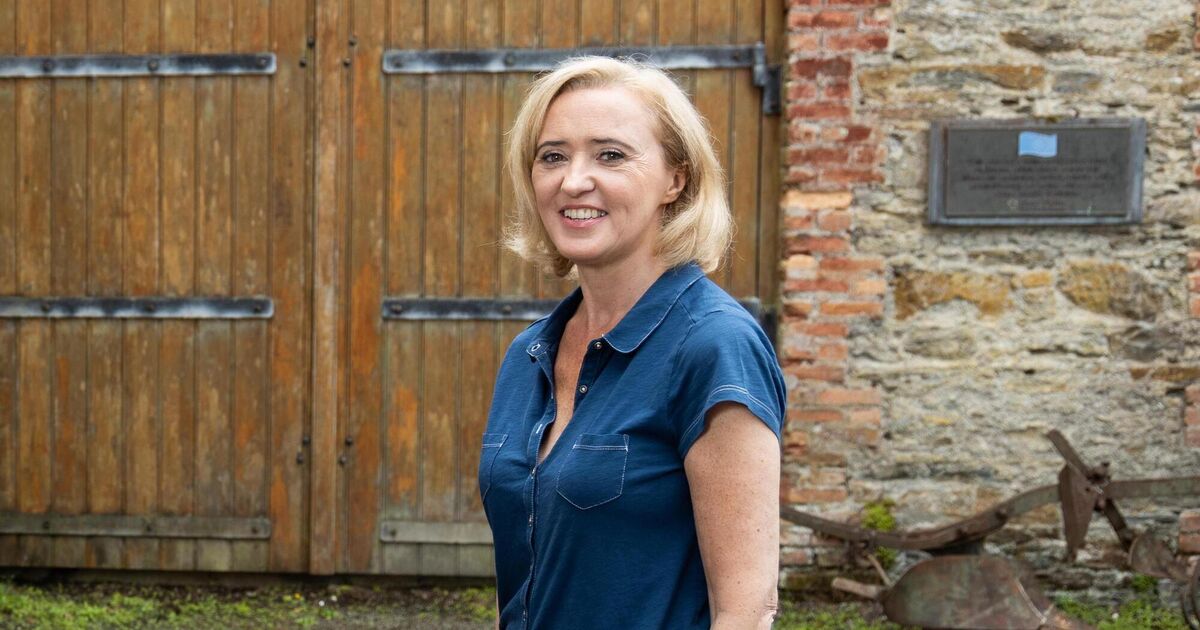 Book review: Liz Nugent hits her stride with fifth novel Strange Sally