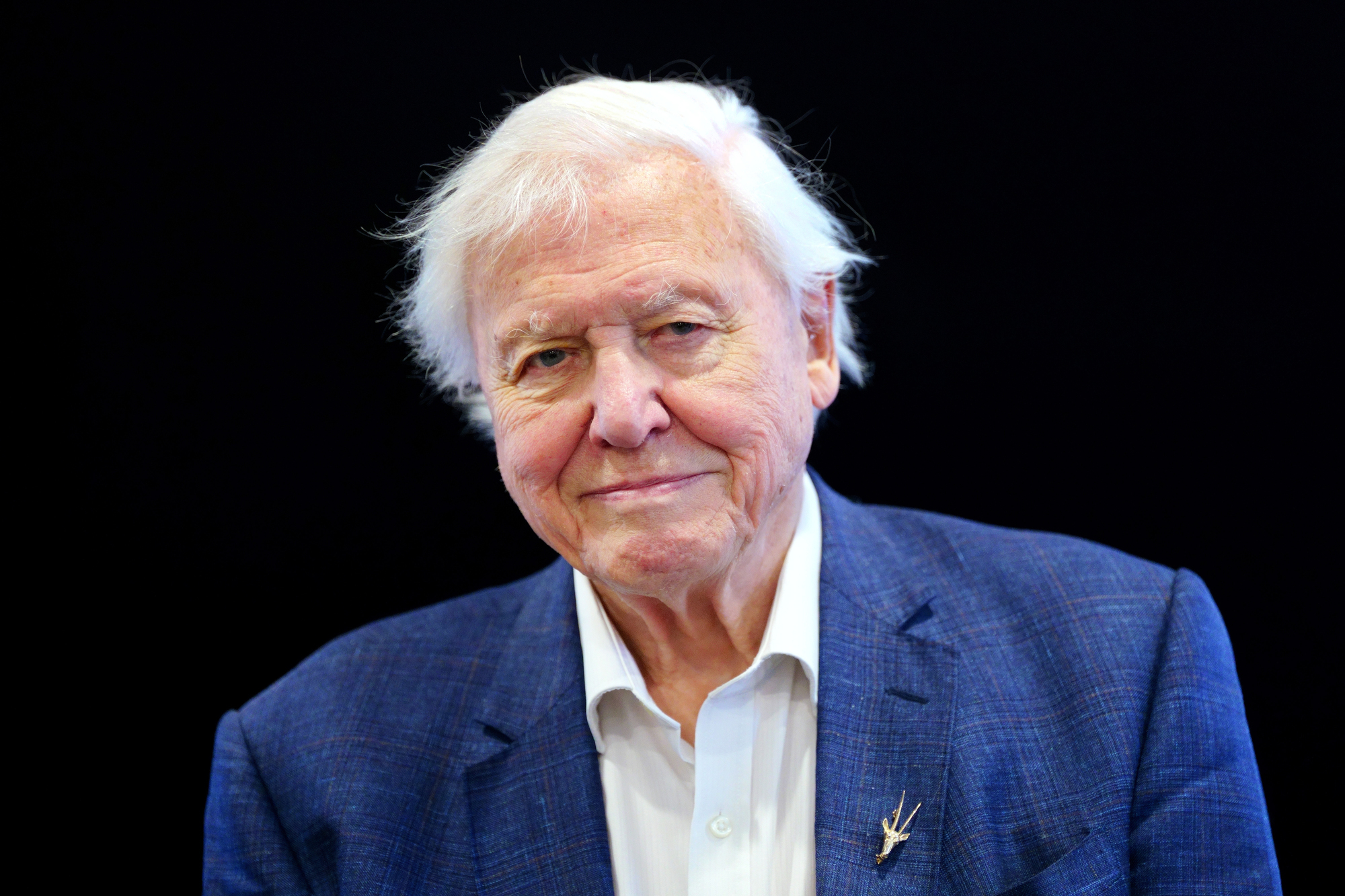 Killarney National Park to play starring role in David Attenborough's new series
