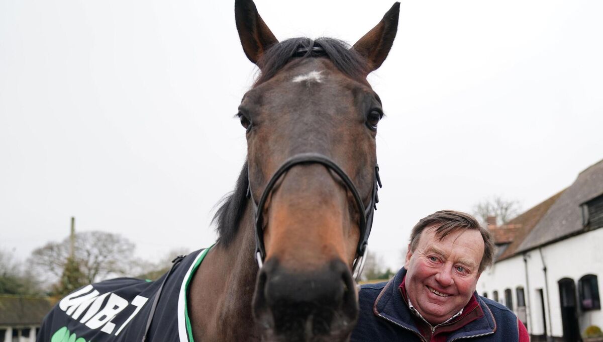 PRIMED TO SHINE: Constitution Hill looks an utterly exceptional talent and last year's Supreme Novices' Hurdle hero can give Nicky Henderson further cause to smile this week. 	Picture: David Davies/PA
