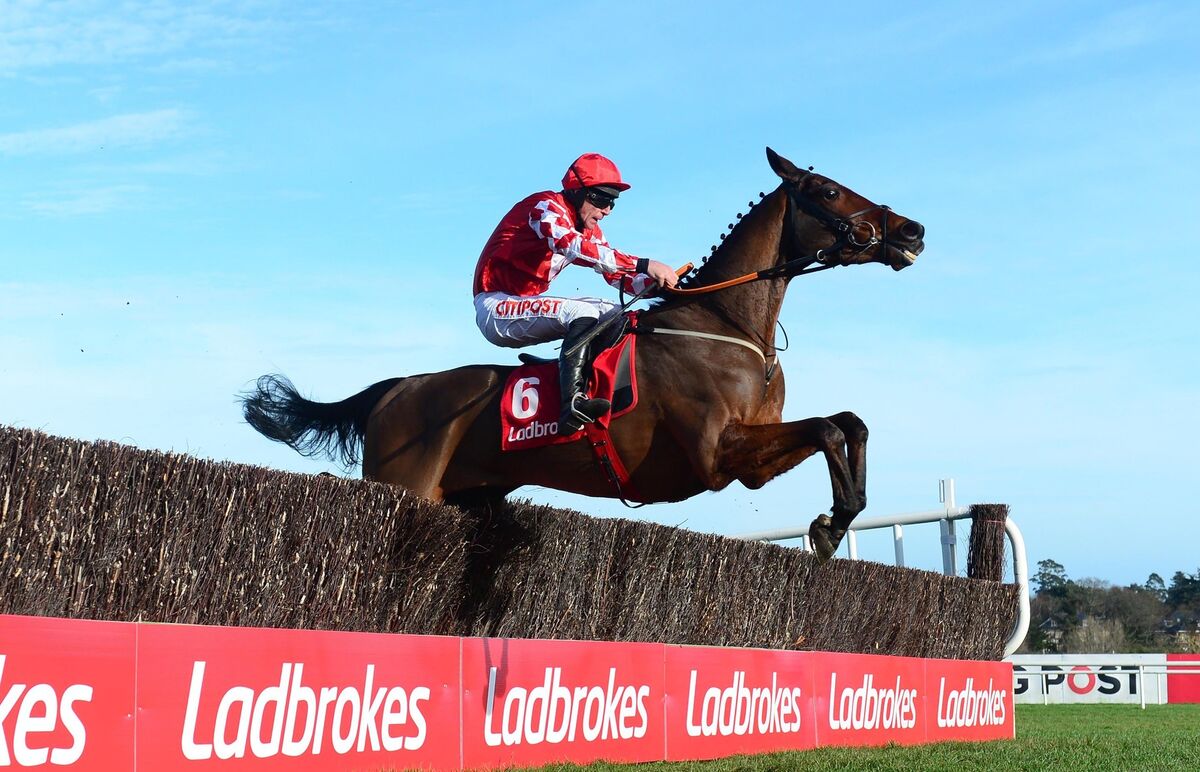 MIGHTY TALENT: Mighty Potter was seriously impressive when winning at the Dublin Racing Festival and could be hard to beat in the Turners Novices' Chase. 	Picture: Healy Racing
