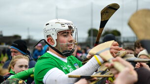 <p>BACK IN GREEN: Aaron Gillane of Limerick signs autographs after the Allianz Hurling League Division 1 Group B match between Westmeath and Limerick at TEG Cusack Park. Pic: Tyler Miller/Sportsfile</p>