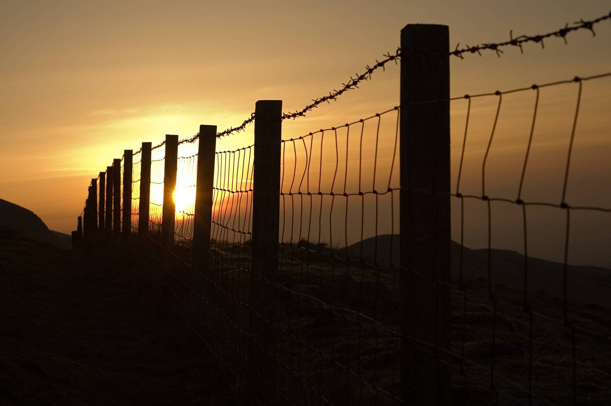 Farmers could 'be in big trouble' due to creosote ban, industry warns