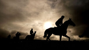 <p>ON THE GALLOPS: Willie Mullins trained horses are put through their paces on Tuesday morning Picture: David Davies/PA Wire</p>