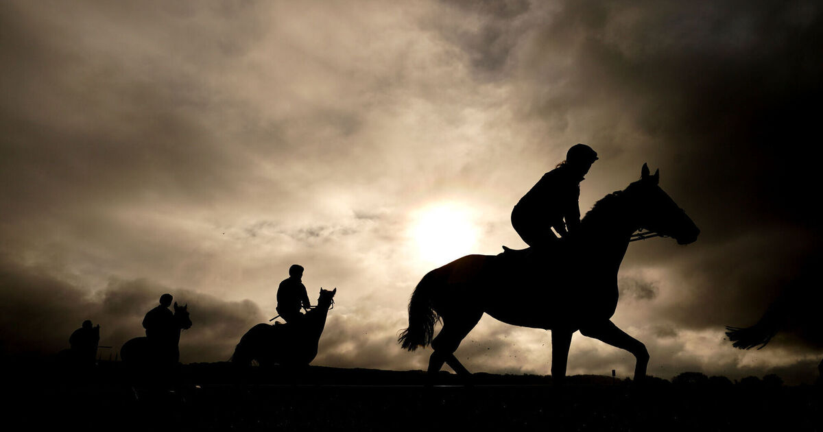 Are Cheltenham Festival favourites like Galopin Des Champs and