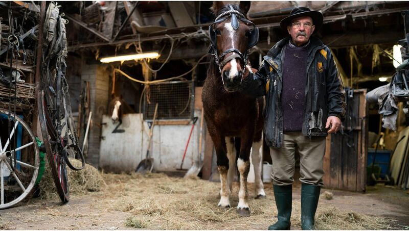 Paddy Harris: oversees the last stable in Smithfield. Picture: Ross O'Callaghan Paddy Harris: oversees the last stable in Smithfield. Picture: Ross O'Callaghan