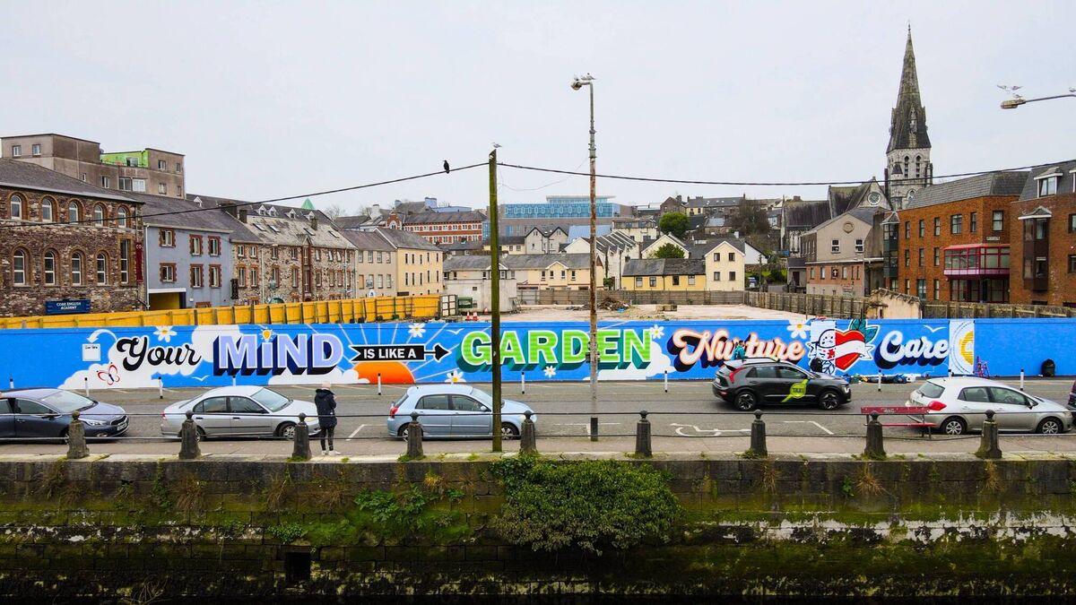 Murals in Cork, Galway and Dublin highlight mental health supports - Vimarsana News