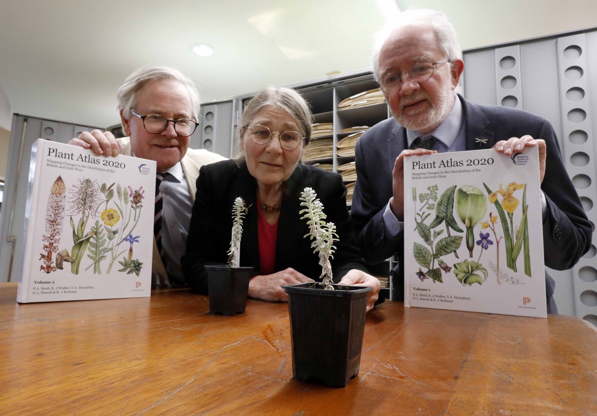 Biodiversity or biomonotony: we know what needs to be done, now we just need to do it