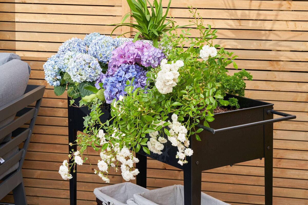 Outdoor planter in Vogue's newlook garden. Outdoor planter in Vogue's newlook garden.