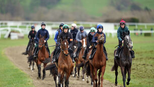 <p>Willie Mullins trained horses on the gallops ahead of day three of the Cheltenham Festival. Picture: Mike Egerton/PA Wire.</p>