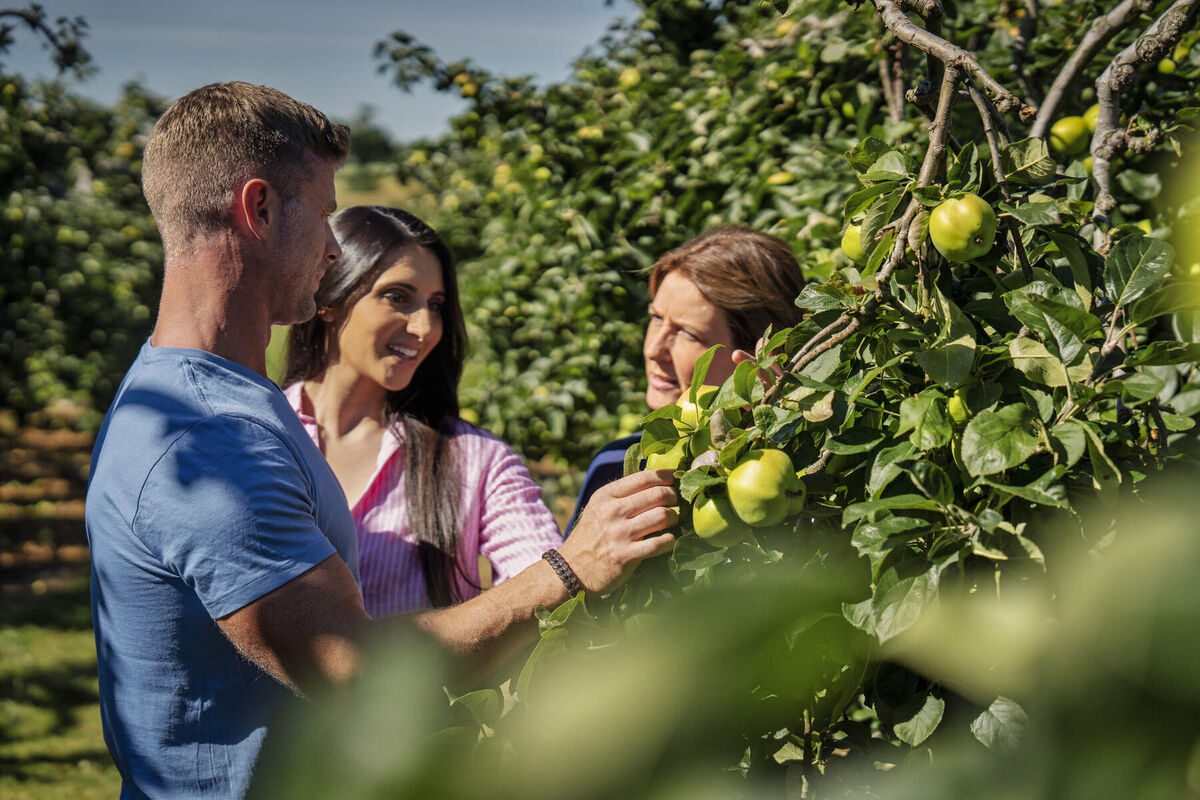  Visitors learn a little of the heritage of apple growing in Armagh and are then told more of the history of the McKeever farm
