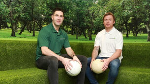 Bryan Sheehan: Give David Clifford time