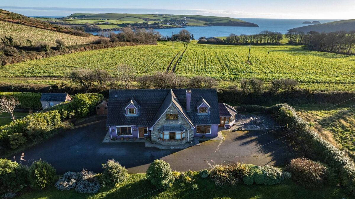 Cork dentist's home for €795,000 will leave a lasting impression - Vimarsana News