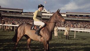 <p>Jockey Pat Taaffe on 'Arkle' at Newbury racecourse for the Hennesey Gold Cup. (Photo by Fox Photos/Getty Images)</p>