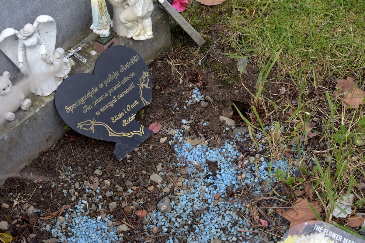  The Little Angels plot in Glasnevin Cemetary where many of the graves interfered with and damaged. 