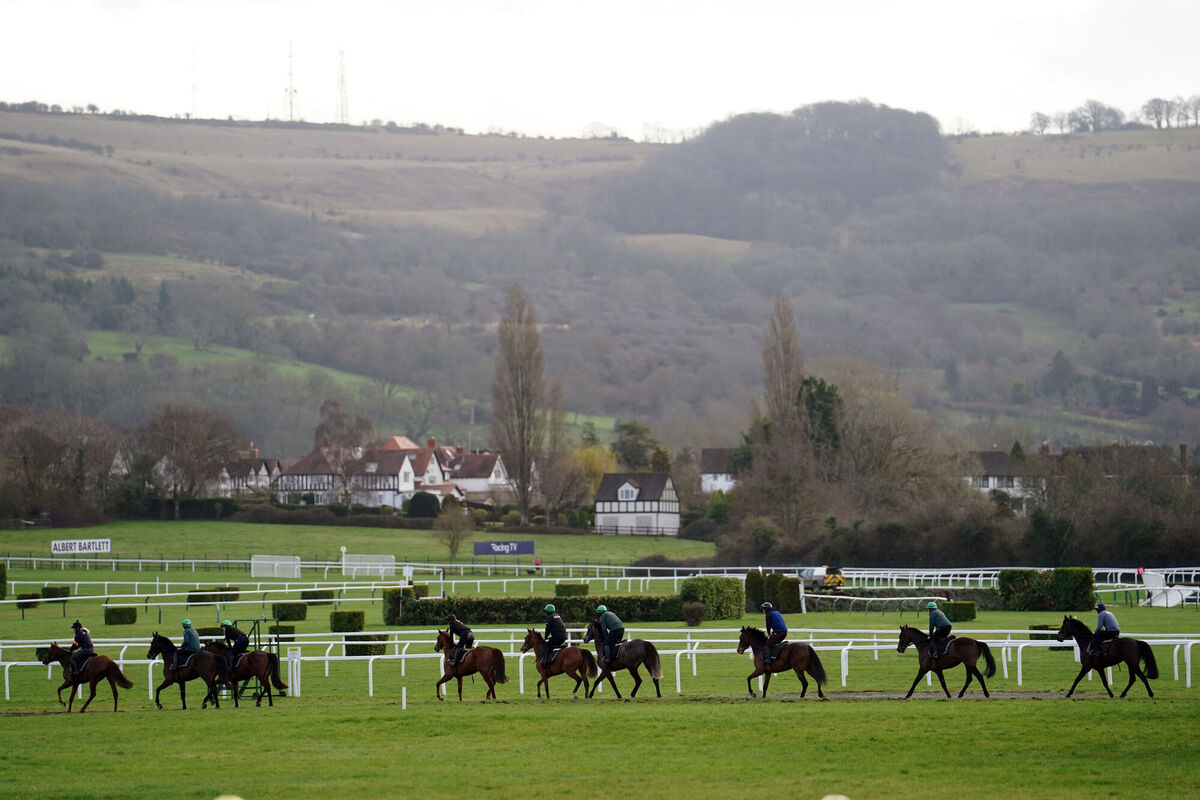 Willie Mullins trained horses on the gallops ahead of day four of the Cheltenham Festival at Cheltenham Racecourse. Picture date: Friday March 17, 2023. PA Photo. See PA story RACING Cheltenham. Photo credit should read: David Davies/PA Wire 