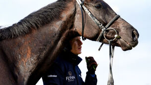 <p>Willie Mullins trained horse, Galopin Des Champs with Paul Townend on the gallops ahead of day four of the Cheltenham Festival at Cheltenham Racecourse. Picture  : David Davies/PA Wire</p>