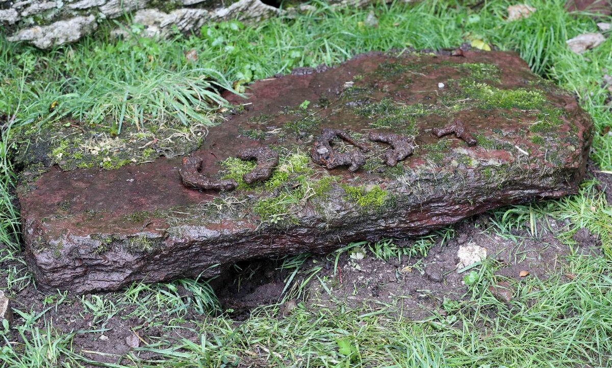Disturbed ground and discarded metal at Kilcrea Friary. Picture: Jim Coughlan
