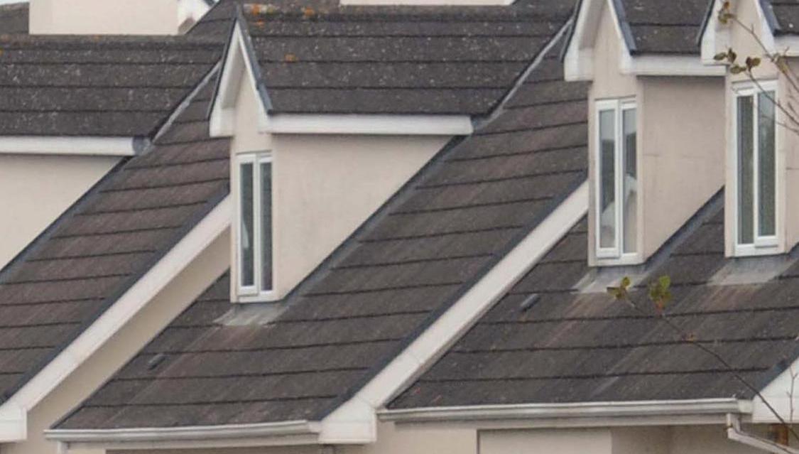 Plans to build nearly 90 homes near Waterford City on hold after objection