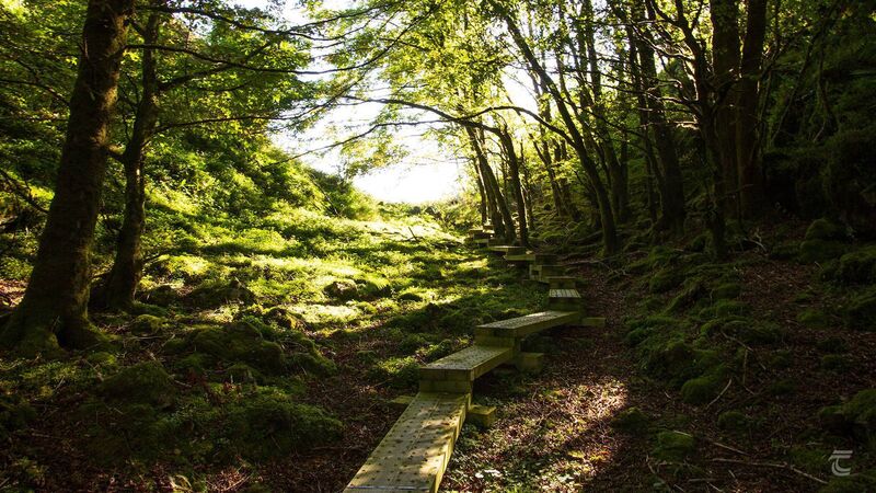  On the trail in the Cavan Burren. Picture: Neil Jackman / tuatha.ie