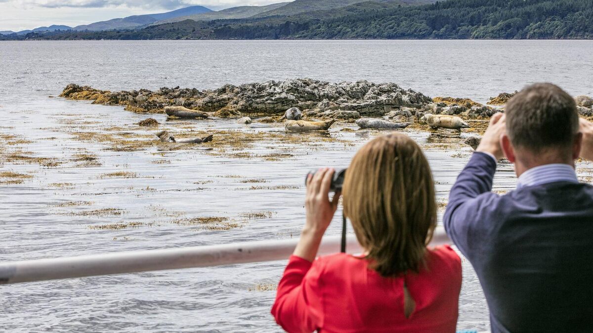 Wild Ireland: Rediscover your love for this beautiful island - Vimarsana News
