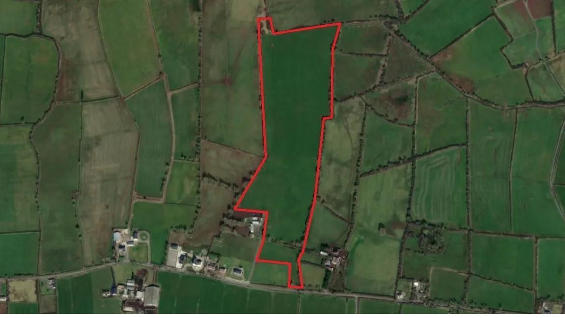 Golden Vale parcel near Kilmallock expected to make €20k/acre