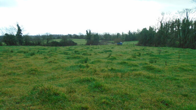 21-acre Kilkenny holding making over €12k/acre post-auction