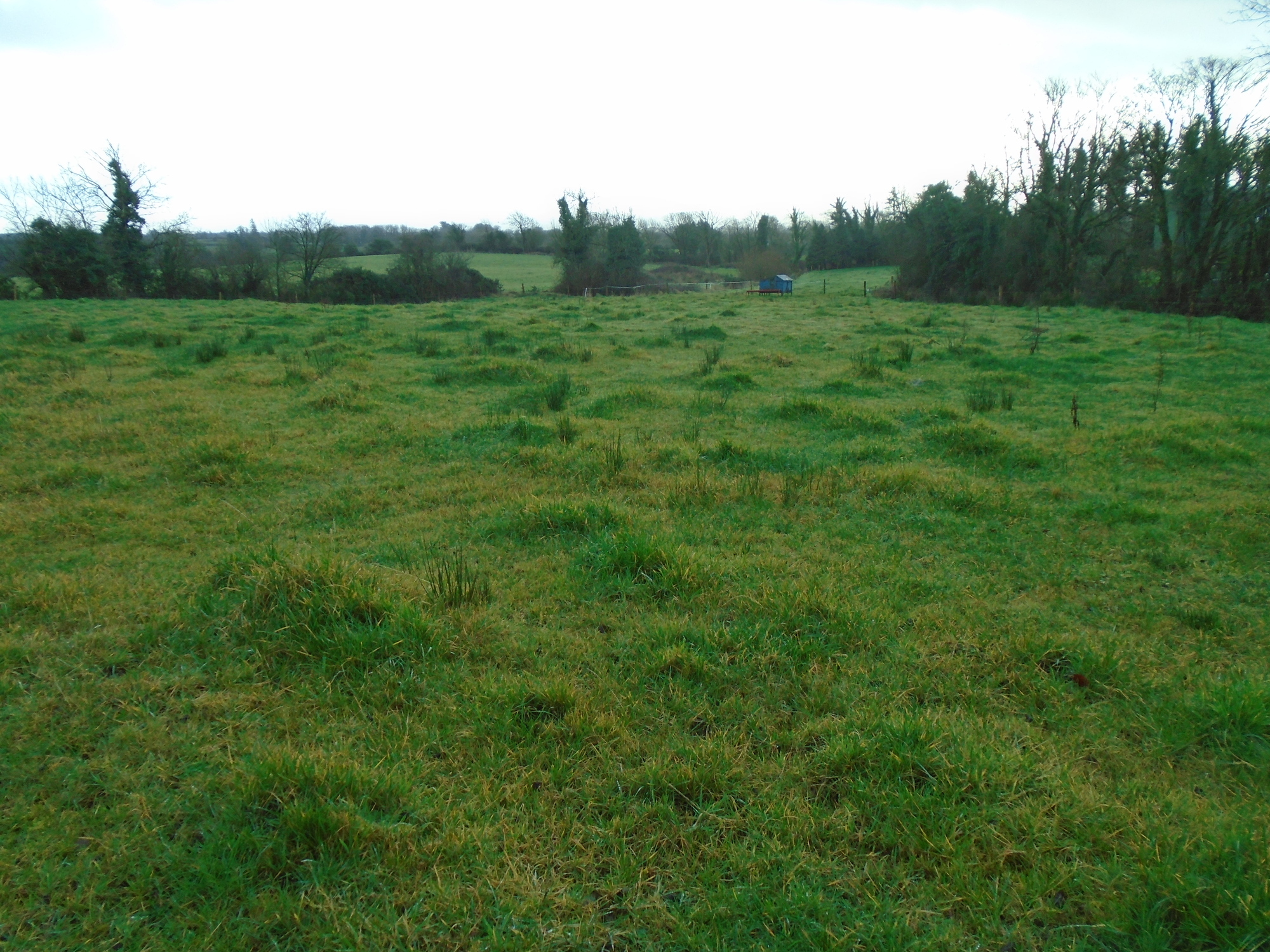 21-acre Kilkenny holding making over €12k/acre post-auction