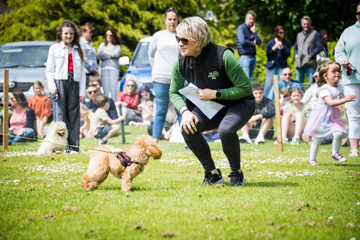 Esther Ring of Top Barkz in action at Ballymaloe May Fair 2022. Pic: Joleen Cronin